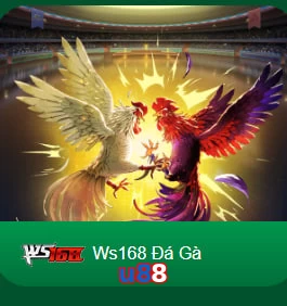 u88